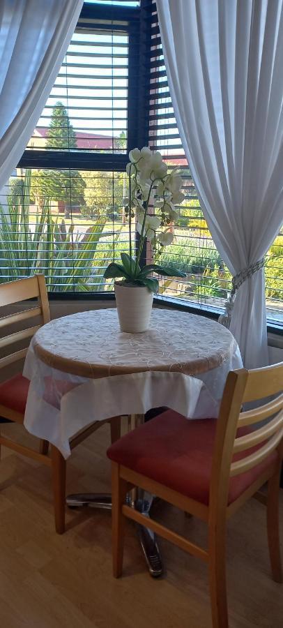 קליינמונד The Wooden Leg Guesthouse מראה חיצוני תמונה